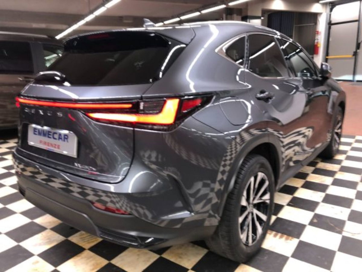 Lexus NX Plug-in 4WD Premium (5)