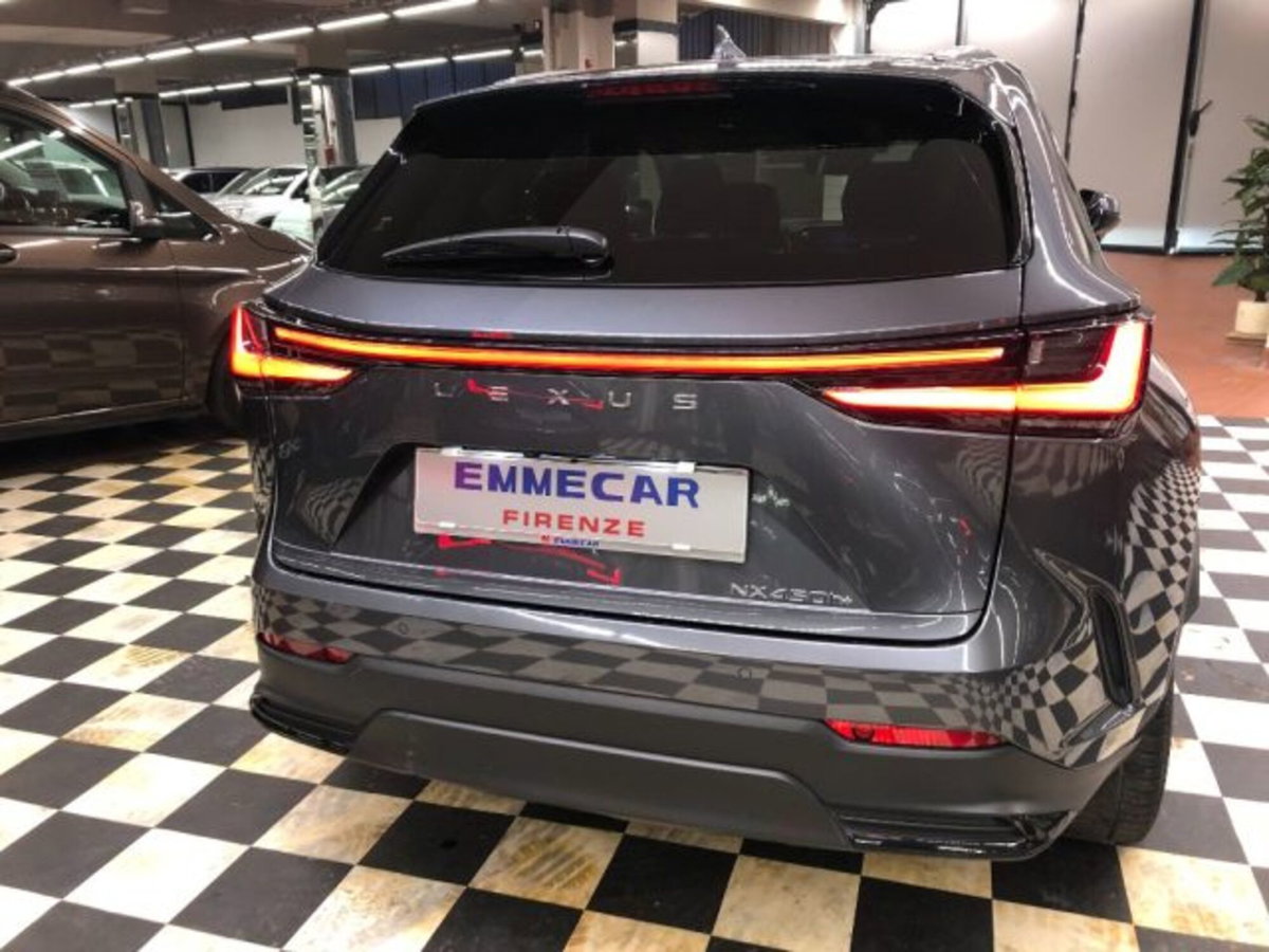 Lexus NX Plug-in 4WD Premium (6)