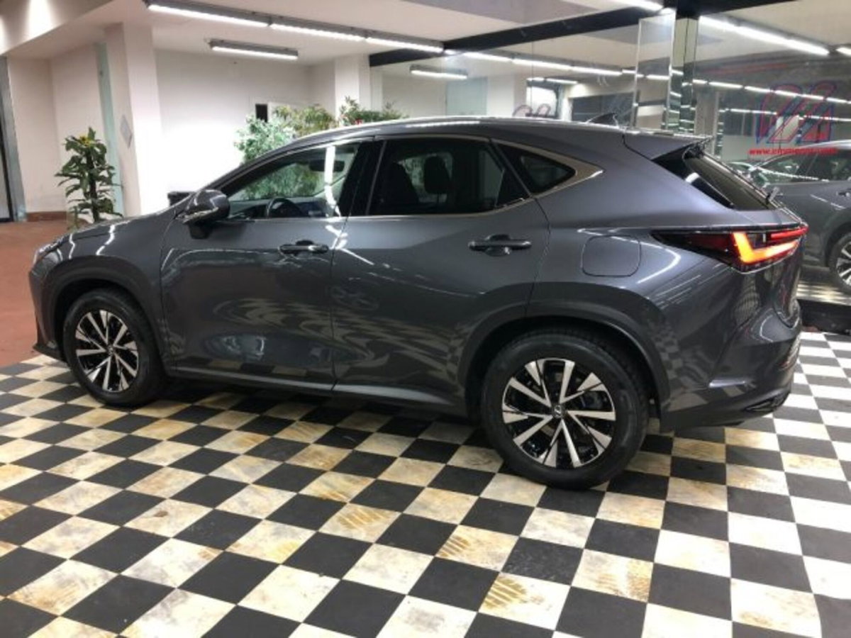 Lexus NX Plug-in 4WD Premium (7)