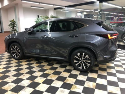 Lexus NX Plug-in 4WD Premium (7)