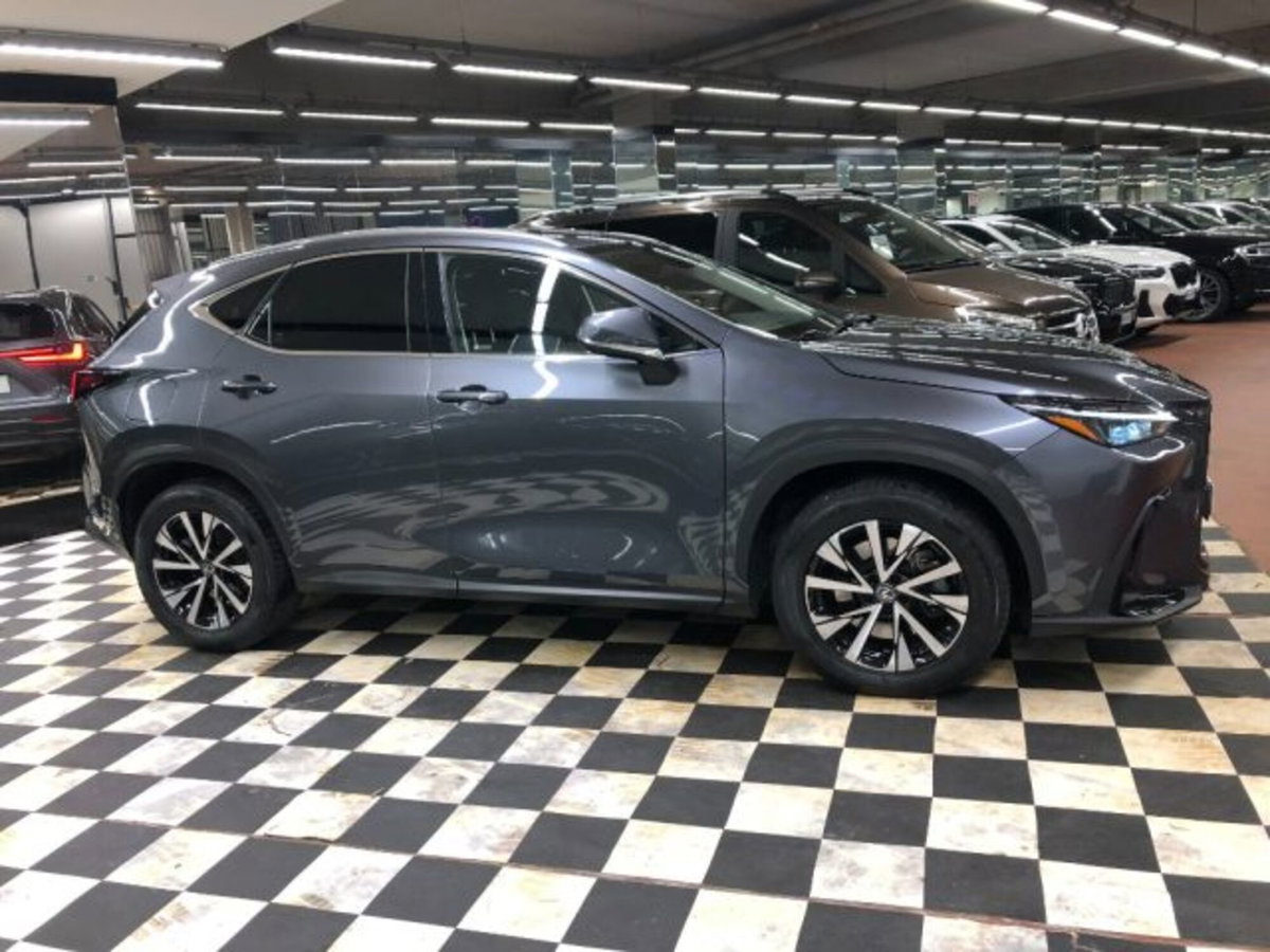 Lexus NX Plug-in 4WD Premium (8)