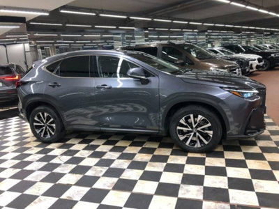 Lexus NX Plug-in 4WD Premium (8)