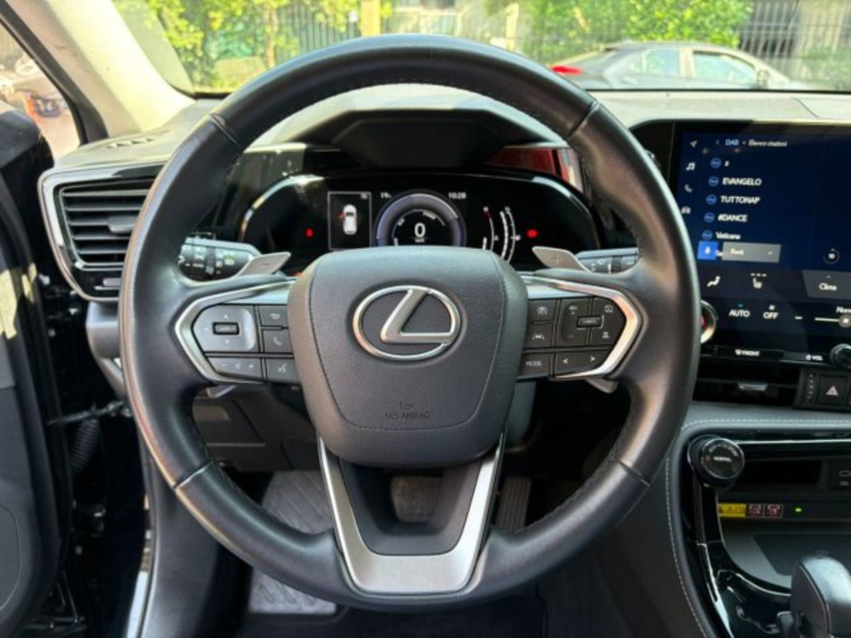 Lexus NX 350h 2.5 Premium+ 4wd e-cvt (9)