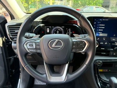 Lexus NX 350h 2.5 Premium+ 4wd e-cvt (9)