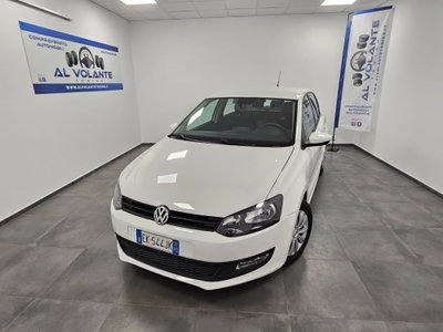 Volkswagen Polo 1.2 5 porte Trendline usata