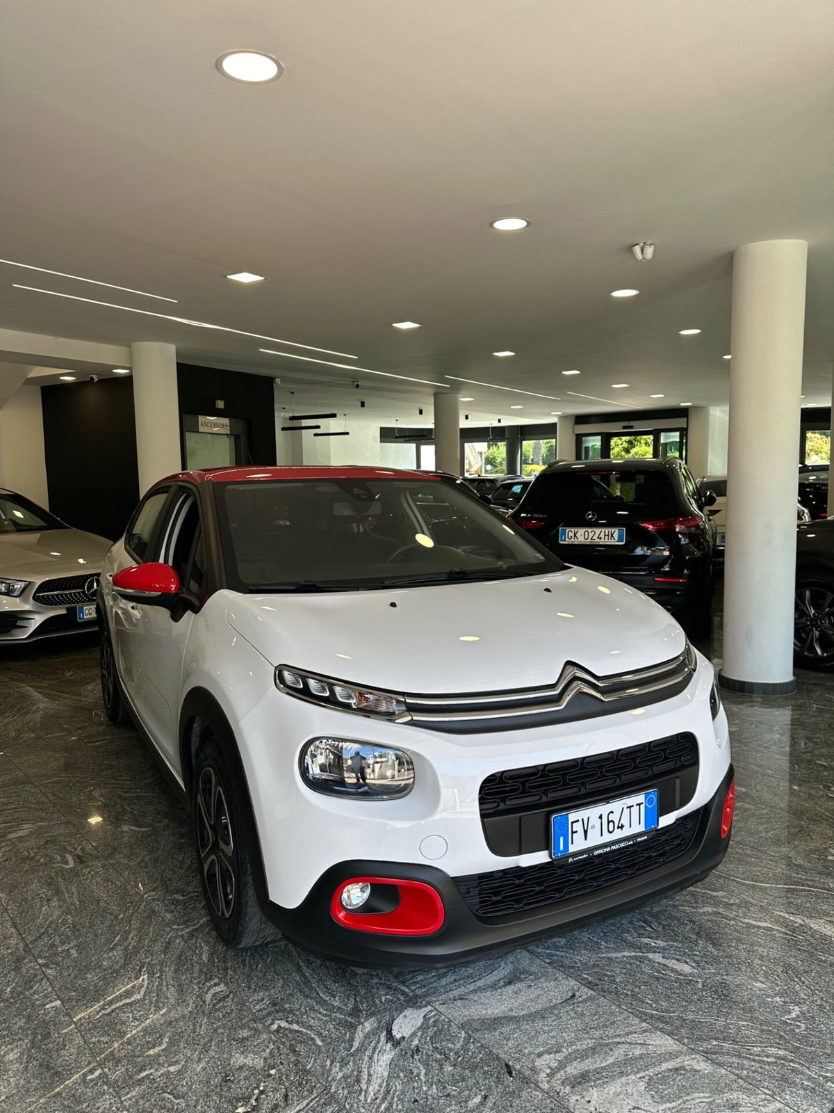 Citroen C3 BlueHDi 100 S&S Shine (3)