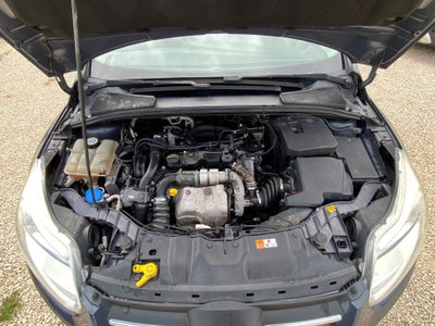 Ford Focus Station Wagon 1.6 TDCi 115 CV SW Titanium (10)