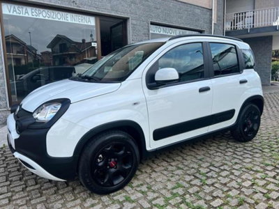 Fiat Panda Cross 1.0 firefly hybrid Cross s&s 70cv 5p.ti (2)