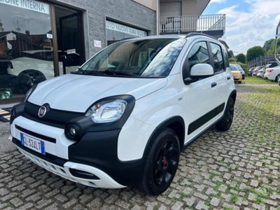 Fiat Panda Cross 1.0 firefly hybrid Cross s&s 70cv 5p.ti (3)
