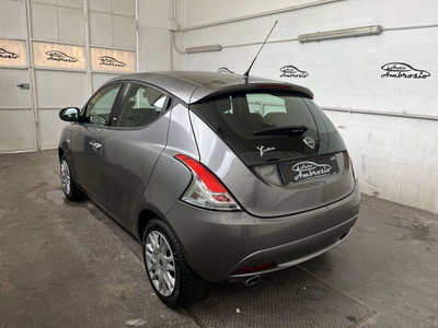 Lancia Ypsilon 1.2 69 CV 5 porte Gold (3)