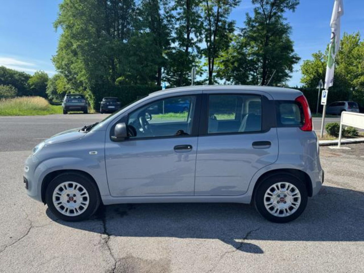 Fiat Panda 1.0 firefly hybrid s&s 70cv 5p.ti (3)