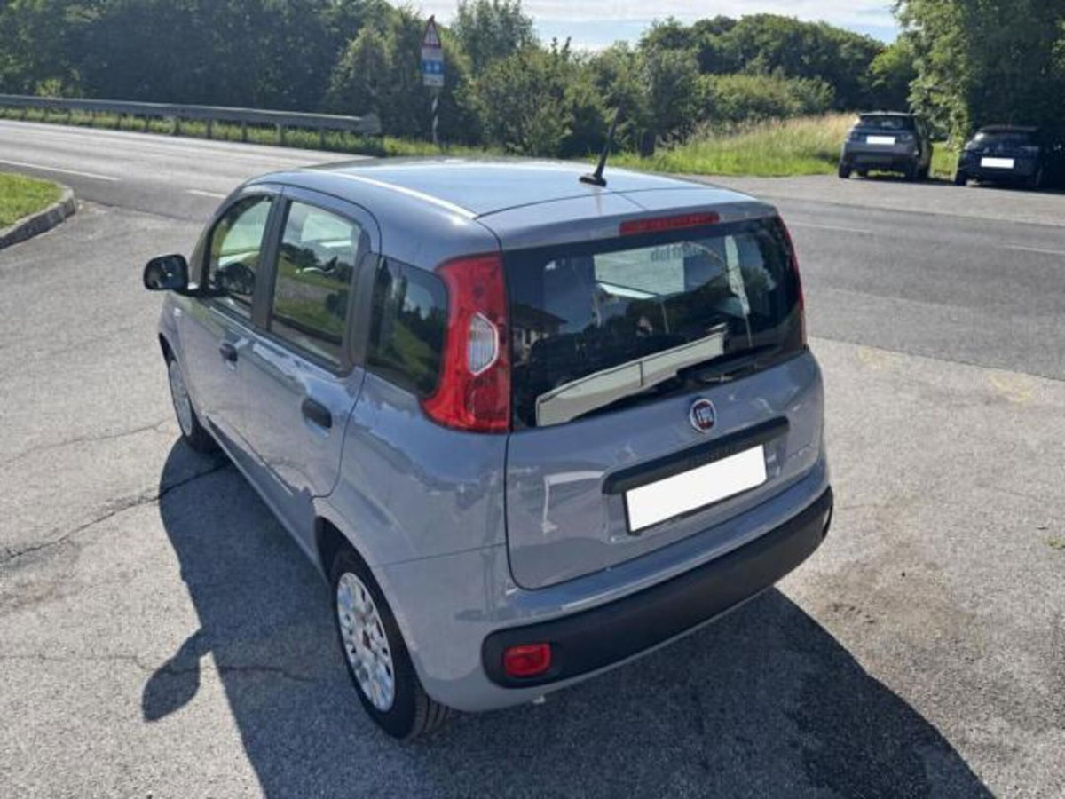 Fiat Panda 1.0 firefly hybrid s&s 70cv 5p.ti (4)
