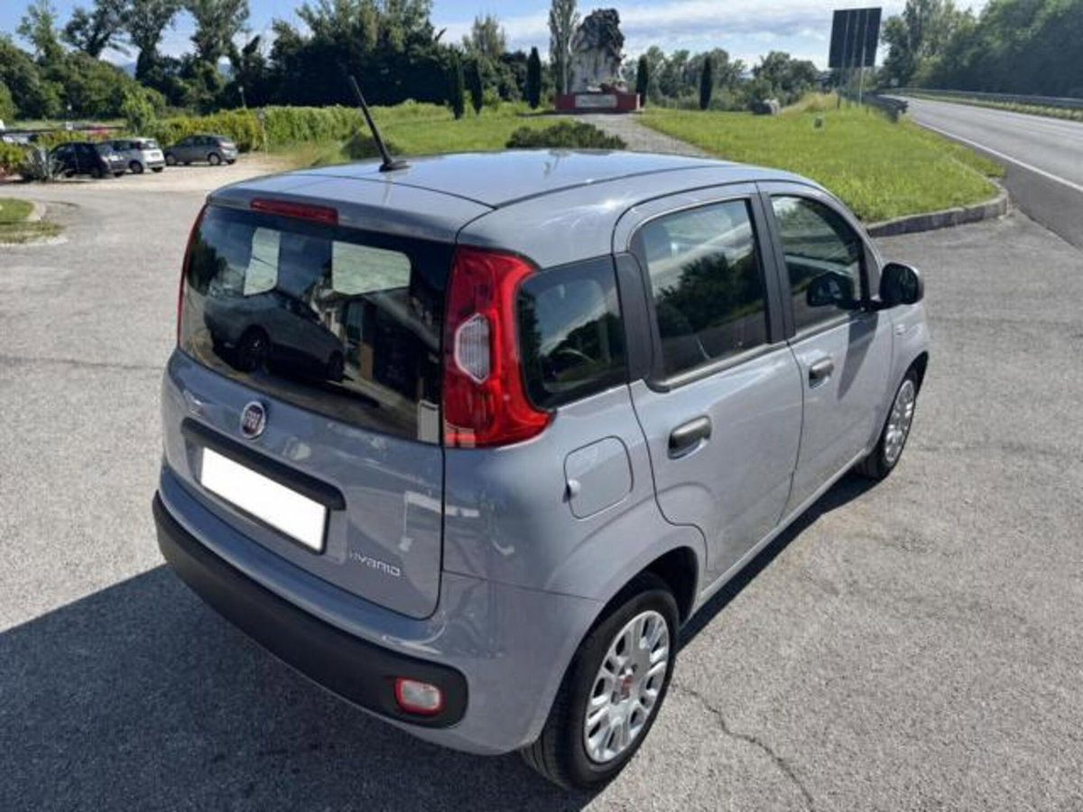 Fiat Panda 1.0 firefly hybrid s&s 70cv 5p.ti (6)