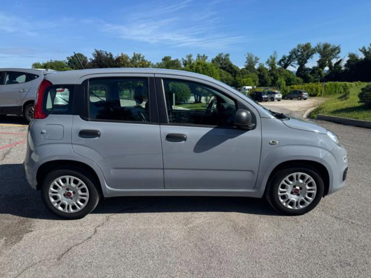 Fiat Panda 1.0 firefly hybrid s&s 70cv 5p.ti (7)