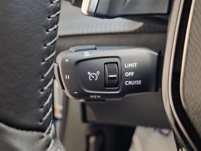 Peugeot 2008 1.2 turbo Allure 100cv (16)