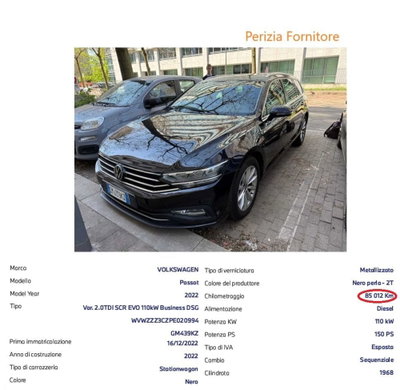 Volkswagen Passat Variant 2.0 TDI SCR EVO DSG Business (14)