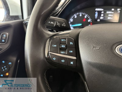Ford Fiesta 1.0 Ecoboost Hybrid 125 CV 5 porte ST-Line X (14)
