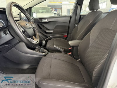 Ford Fiesta 1.0 Ecoboost Hybrid 125 CV 5 porte ST-Line X (8)