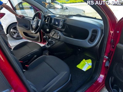 Fiat Panda Cross Cross 1.0 FireFly S&S Hybrid (5)