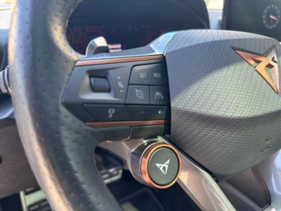 Cupra Formentor Formentor 2.0 TSI 4Drive DSG VZ Launch Edition (14)