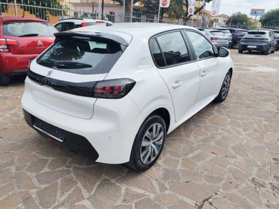 Peugeot 208 PureTech 75 Stop&Start 5 porte Active (5)
