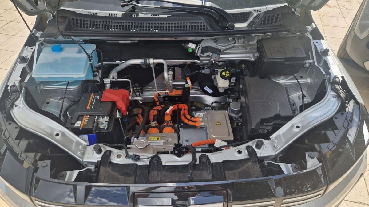 Dacia Spring Extreme Electric 65 (8)