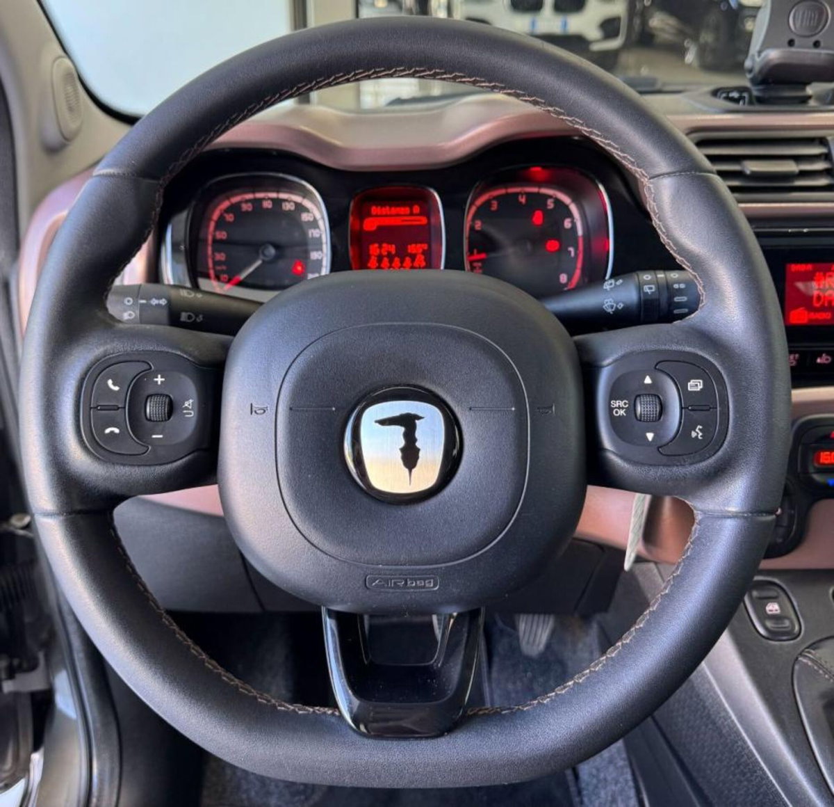 Fiat Panda Cross Cross 1.0 FireFly S&S Hybrid (11)
