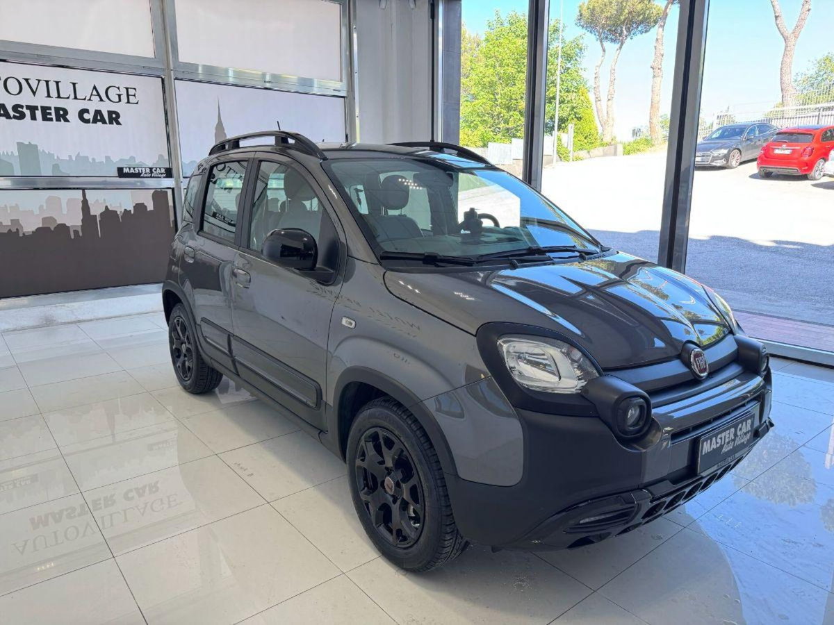 Fiat Panda Cross Cross 1.0 FireFly S&S Hybrid (3)