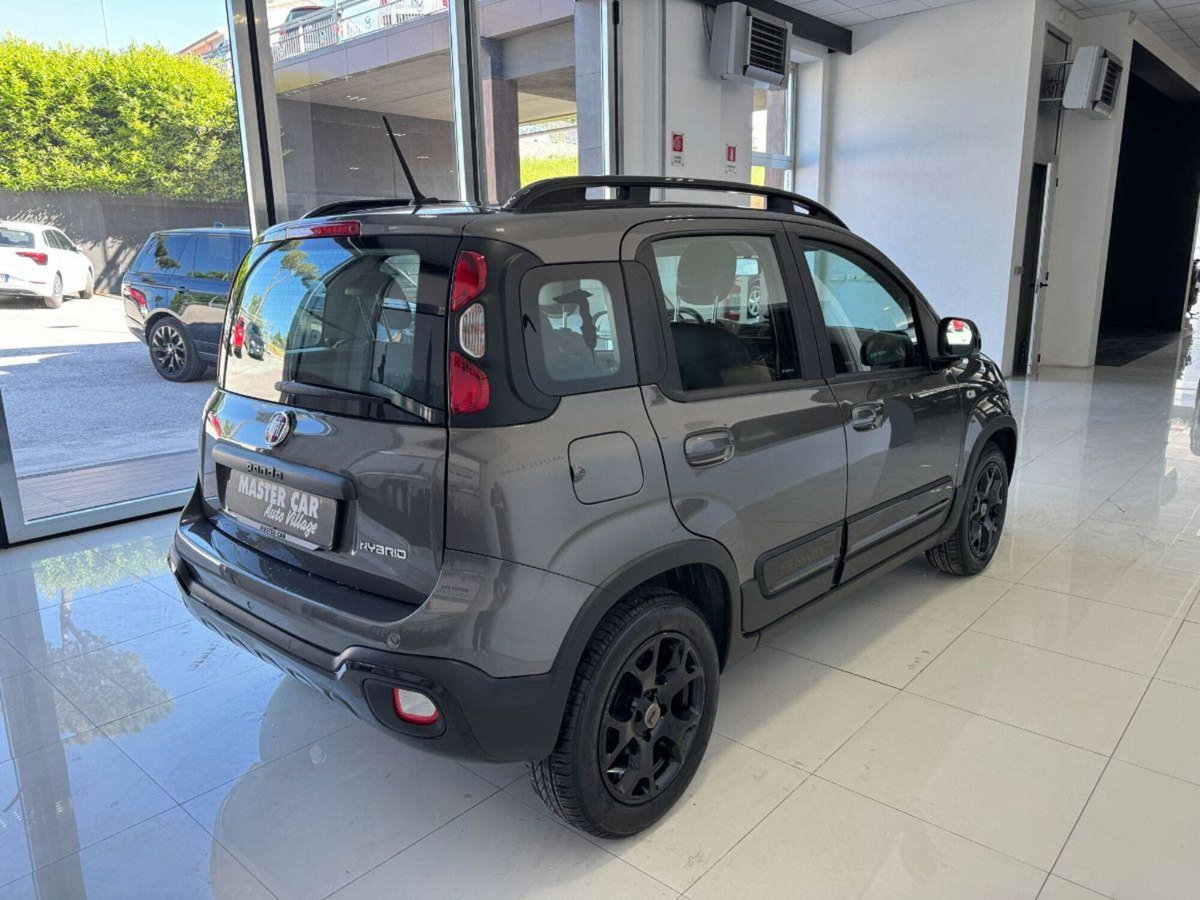 Fiat Panda Cross Cross 1.0 FireFly S&S Hybrid (4)