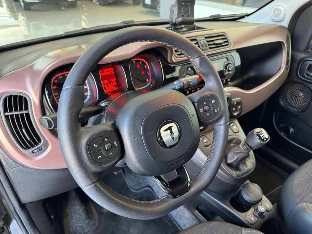 Fiat Panda Cross Cross 1.0 FireFly S&S Hybrid (8)