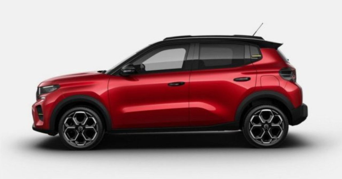 Citroen C3 1.2 puretech turbo Business 100cv s&s (4)