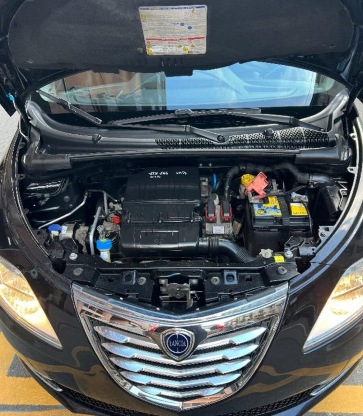 Lancia Ypsilon 1.2 69 CV 5 porte Platinum (11)