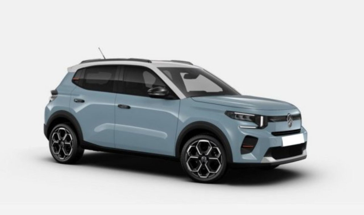 Citroen C3 1.2 puretech turbo Business 100cv s&s (4)