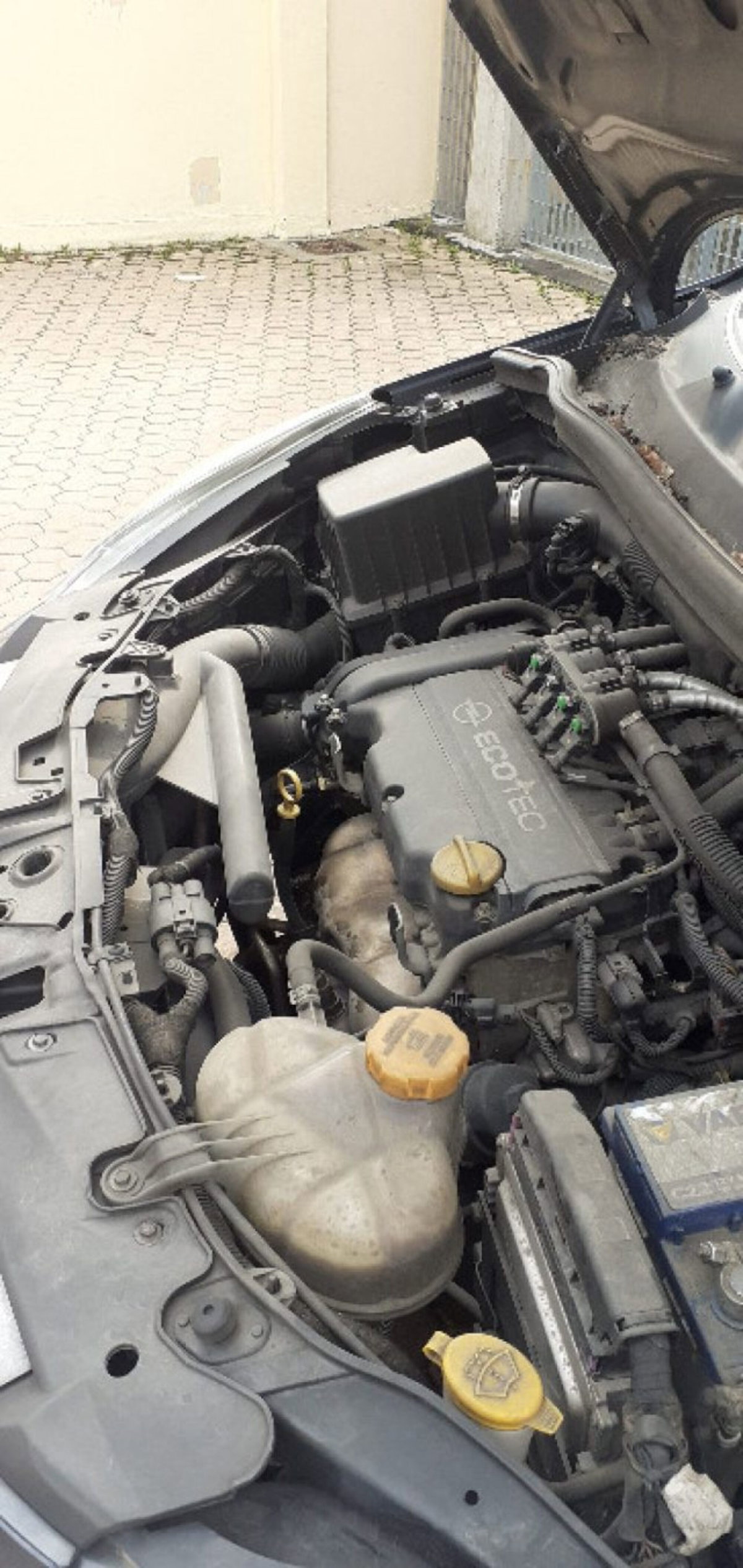 Opel Corsa 1.2 5 porte Cosmo (3)