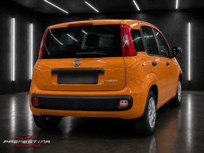 Fiat Panda 1.0 firefly hybrid s&s 70cv 5p.ti (4)