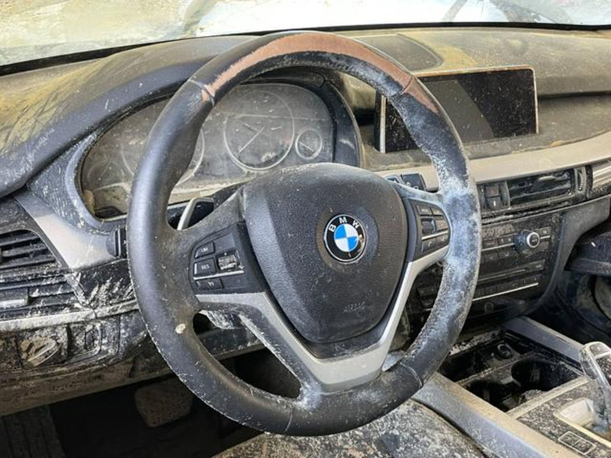 BMW X5 xDrive25d Business (15)