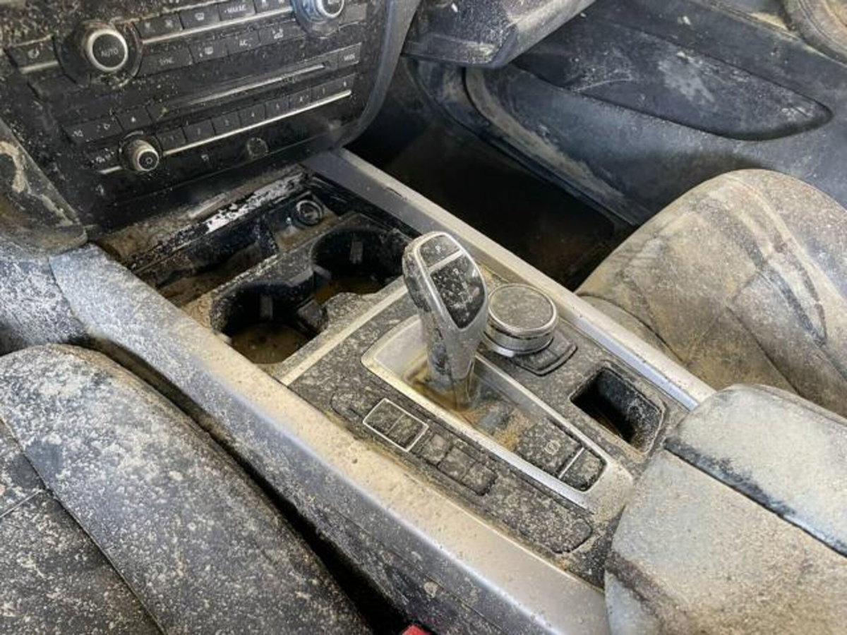 BMW X5 xDrive25d Business (17)