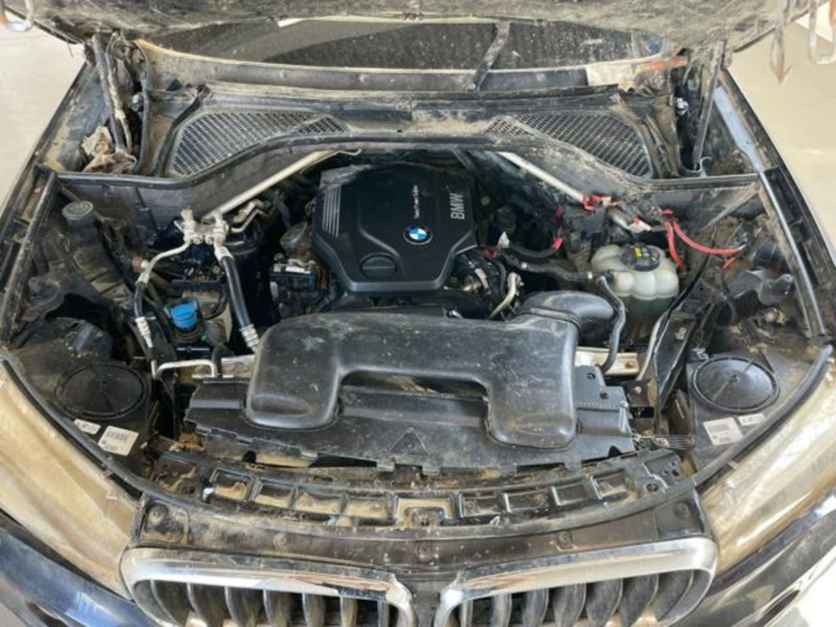 BMW X5 xDrive25d Business (9)