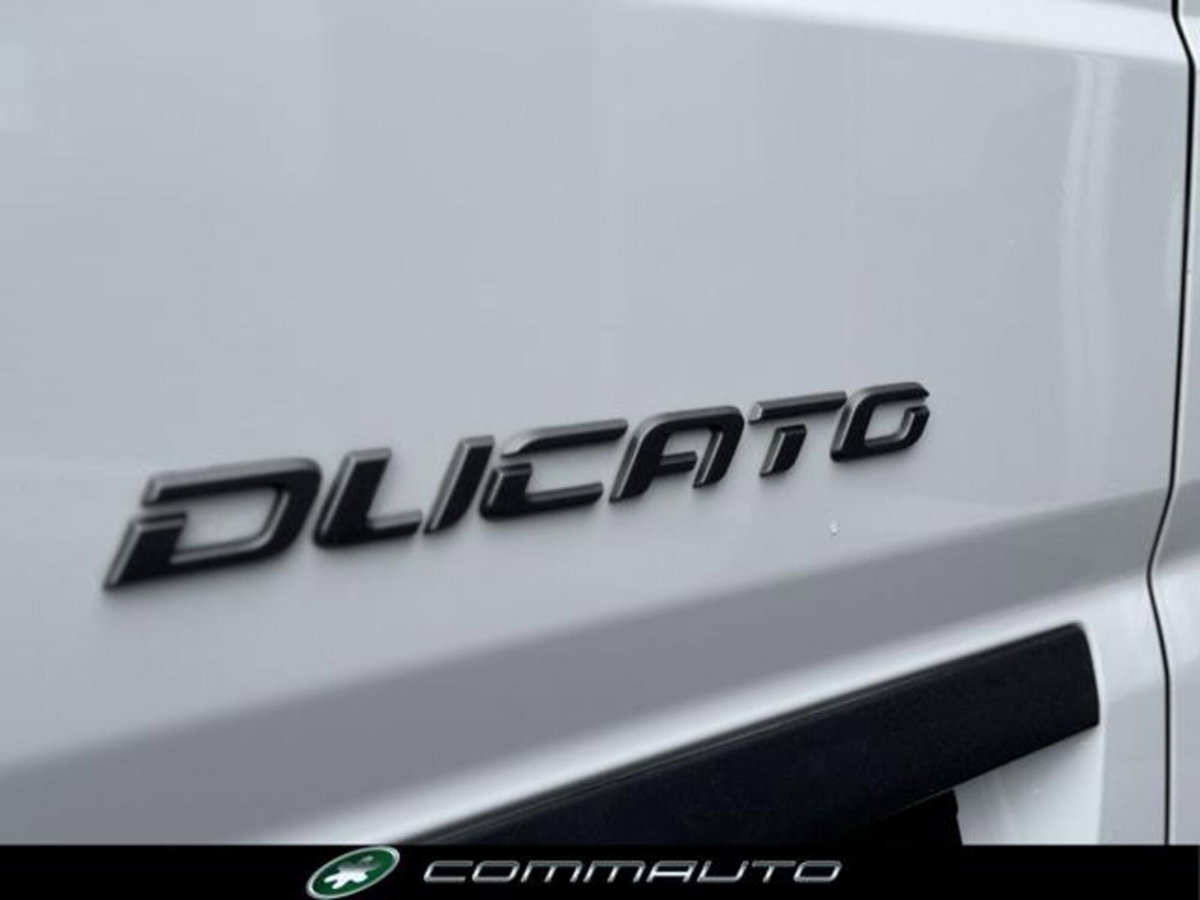 Fiat Ducato Furgone 35 2.2 Mjt 140CV PLMX-TM Maxi HD (8)
