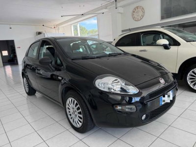 Fiat Punto 1.3 MJT II S&S 95 CV 5 porte Street usata