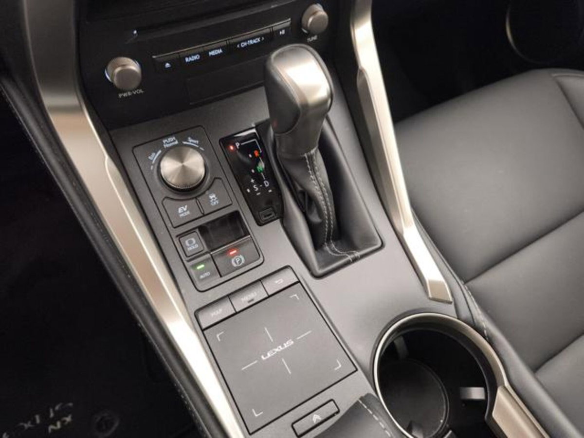 Lexus NX Hybrid 4WD Premium (18)