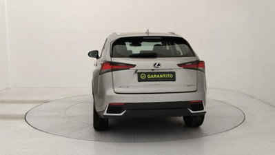 Lexus NX Hybrid 4WD Premium (4)