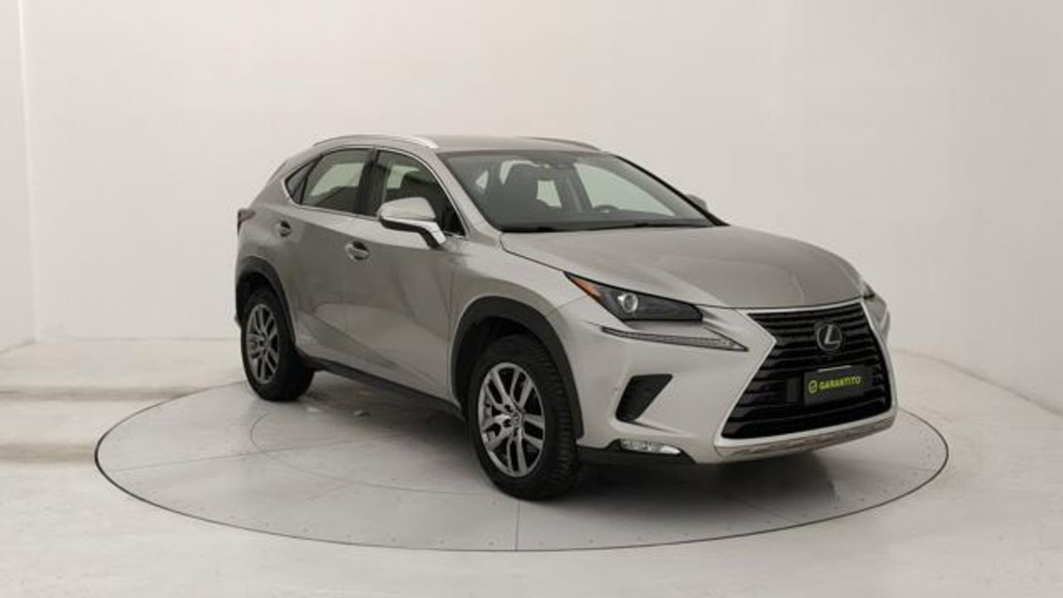 Lexus NX Hybrid 4WD Premium (7)