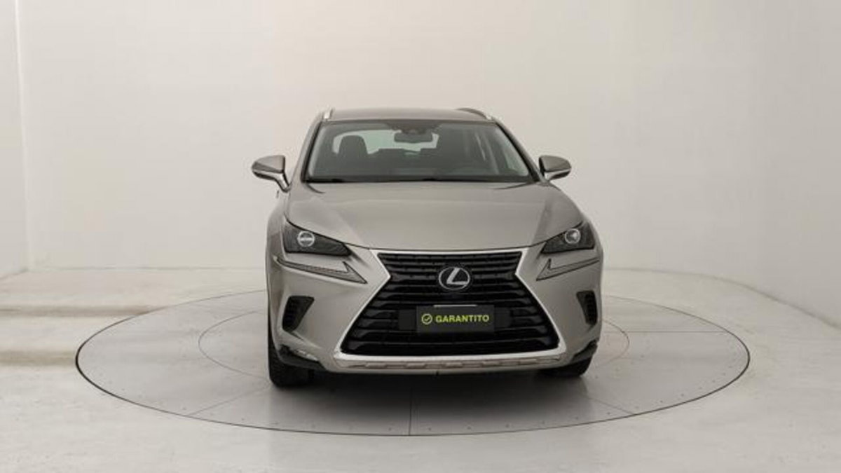 Lexus NX Hybrid 4WD Premium (8)