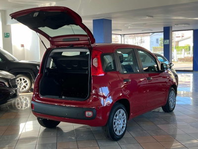 Fiat Panda Cross Cross 1.0 FireFly S&S Hybrid (13)