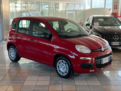 Fiat Panda Cross Cross 1.0 FireFly S&S Hybrid (2)