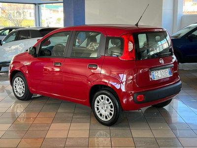 Fiat Panda Cross Cross 1.0 FireFly S&S Hybrid (3)