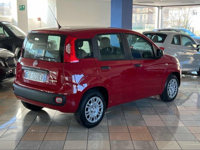 Fiat Panda Cross Cross 1.0 FireFly S&S Hybrid (4)