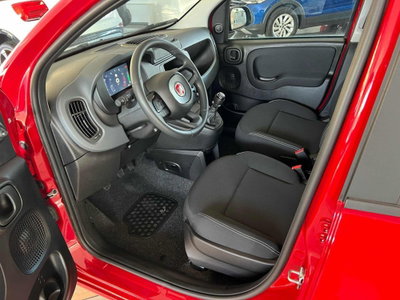 Fiat Panda Cross Cross 1.0 FireFly S&S Hybrid (5)