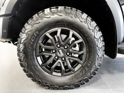 Ford Ranger Pick-up Raptor 2.0 ecoblue 210cv auto (8)